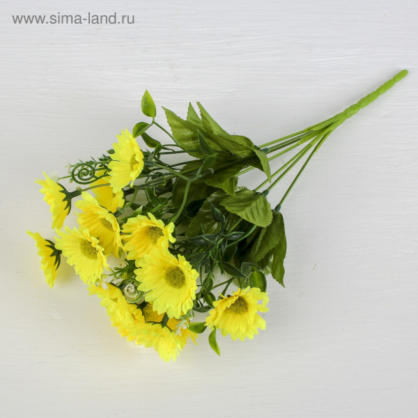 Букет "Ромашки с завитками" 4*26см микс /3543982