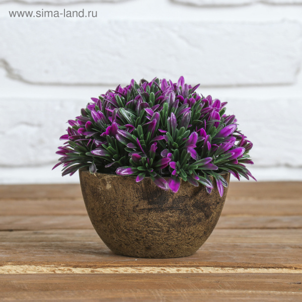 Бонсай в горше "Цветные листья" 10х10х11см 1840779