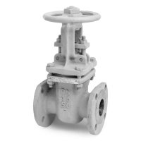 Задвижа 30ч 39р Ду50 клином