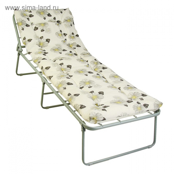 Раскладушка "Надин", 197 × 73 × 40 см, максимальная нагрузка 120 кг/2875491