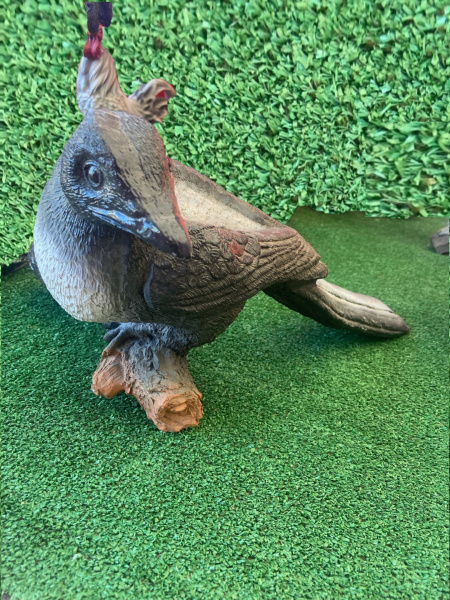 Ворона на ветке /035721