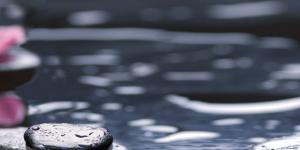 Декор Орхидея 2    500х250 черный 