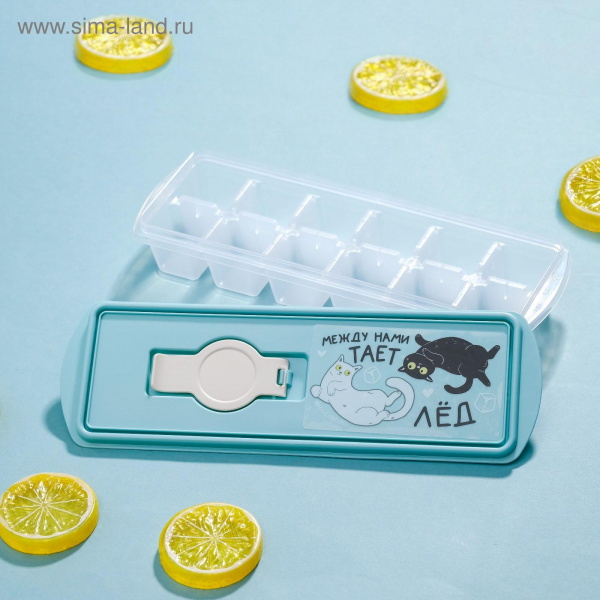 Форма для льда кубики " Между нами тает лед"5349394