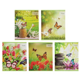 Тетрадь 36л клетка Calligrata "Бабочка" ,2 блок картонная обложка 3001744