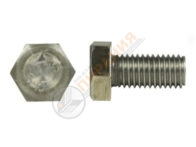 Болт 10х25 (черный металл)