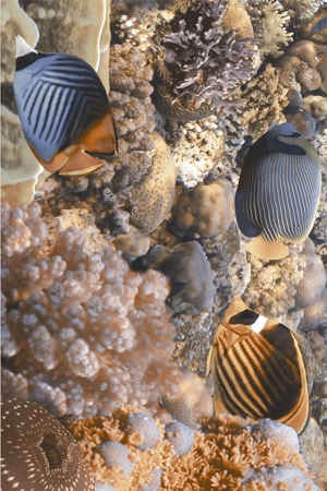 Декор 250х400 1C AGAT №4 N33341