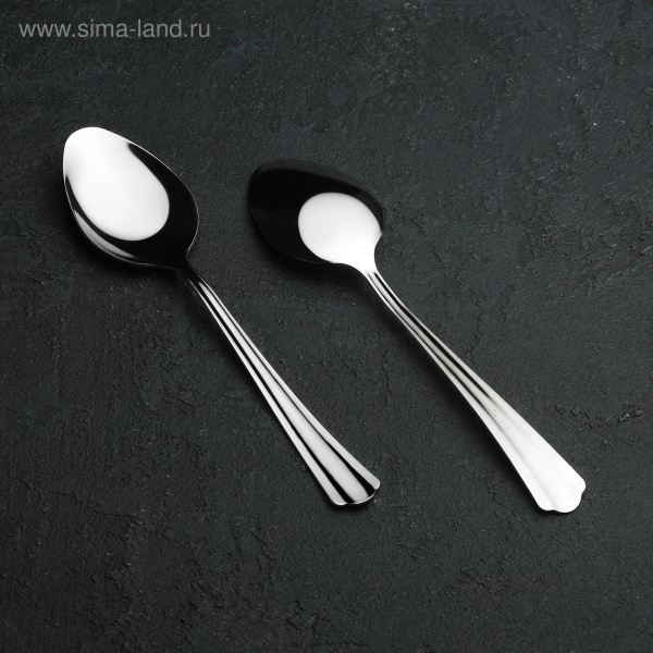 Ложка столовая «Новинка», h=20 см, толщина 1,2 мм, упрощённая обработка/982494