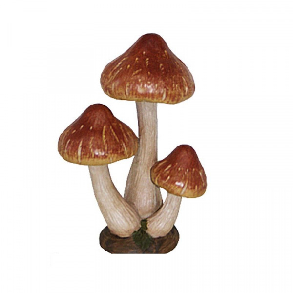 Три гриба /036813