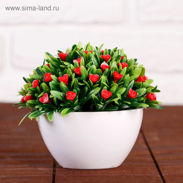 Бонсай в горшке "С розочками" 10х10х11см 1840777