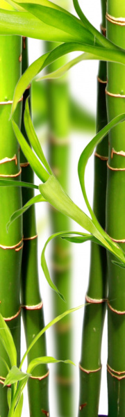 Магнит на холодильник 600*2000*0,4мм  №10