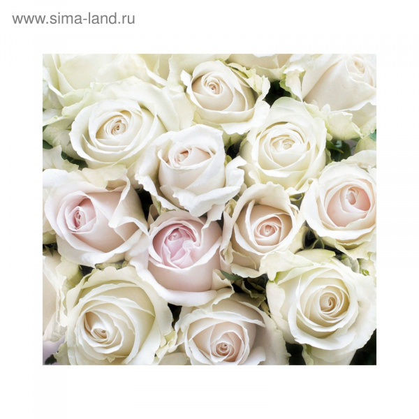 Фотообои DECOCODE Белые розы (3*2,8) 31-0412-FE