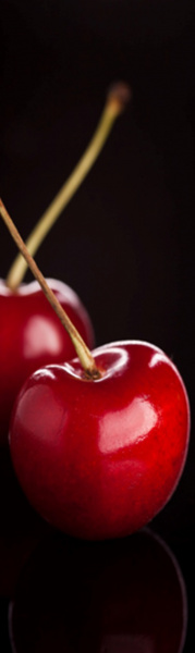 Магнит на холодильник 600*2000*0,4мм  №19