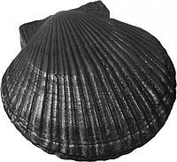 Камень для банной печи чугун "ракушка большая" КЧР-2