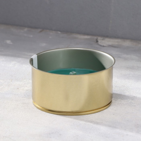 Свеча уличная антимоскитная ароматическая, 10х4,5 см, 120 г, 6 ч, хвоя, зеленый /9574895