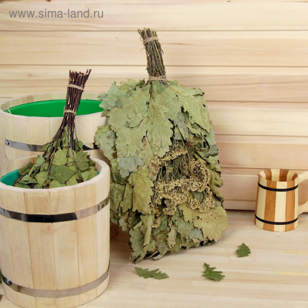 Веник Кавказский дуб с тысячелистником "ЭКСТРА" в упаковке  (ИК)