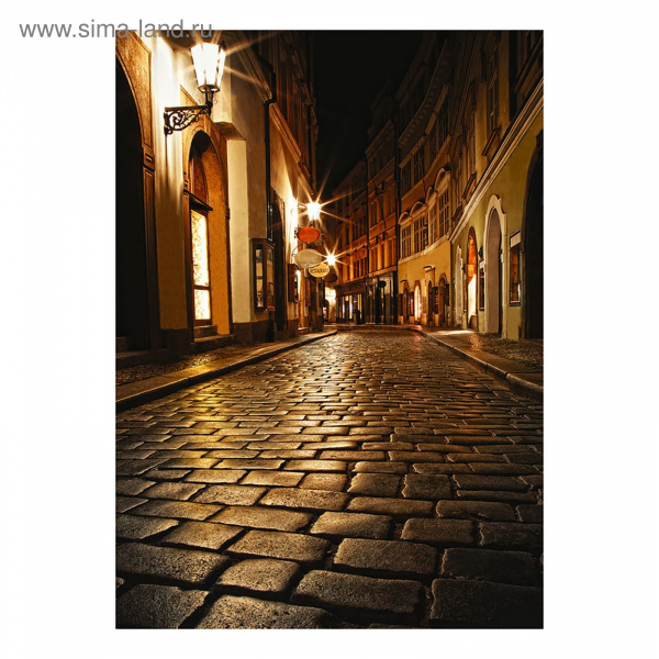 Фотообои DECOCODE Ночной бульвар 21-0008-YB