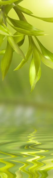 Магнит на холодильник 600*2000*0,4мм  №9