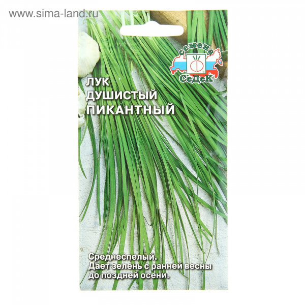 Семена лук Пикантный душистый  0,5 г.   1127392