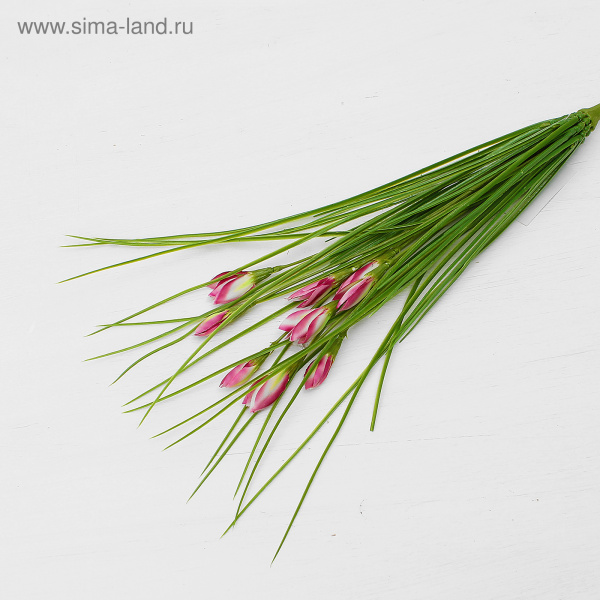 Букет "Подснежники Офелия" 38 см, бело-малиновый   2248809