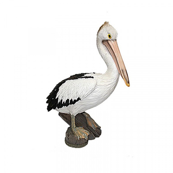 Пеликан /026930