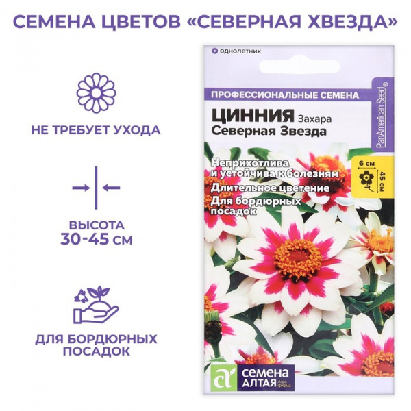 Семена цветов Цинния Захара "Северная звезда", 6 шт /5486170