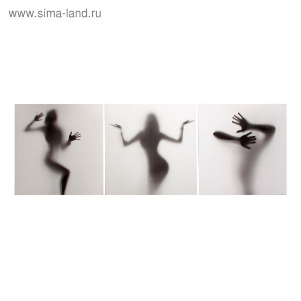Картина модульная на подрамнике "Силуэт" 3шт-50х50 см; 50*150 см/1722537