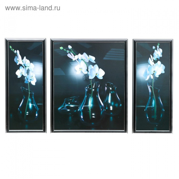 Картина модульная "Орхидеи в стеклянной вазе" 2-54х24, 1-54х43 см, 90*53 см/1070673