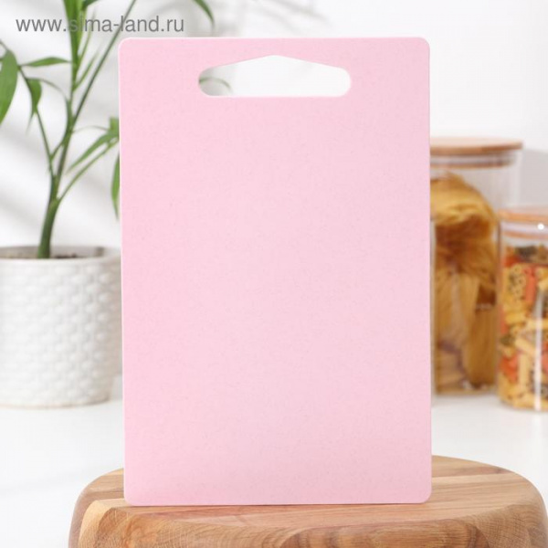 Доска разделочная пластиковая прямоугольная Доляна, 28×18 см, цвет МИКС/3137366