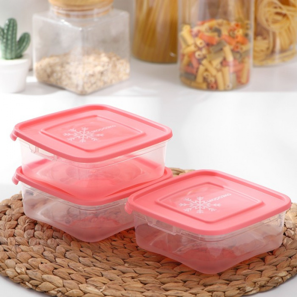 Набор контейнеров для замораживания продуктов «Морозко», 3 шт, 700 мл, цвет МИКС/4364036