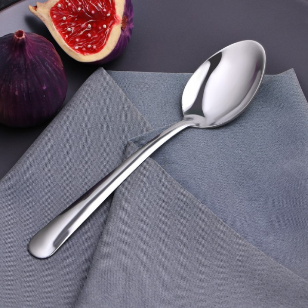 Ложка столовая Доляна «Нордик», h=17 см, толщина 1,2 мм/2431183