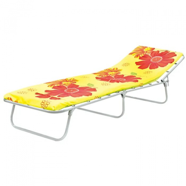 Раскладушка - кровать "Соня" с матрасом, 200х70х31,5 см, до 120 кг, для взрослых, микс /2875489