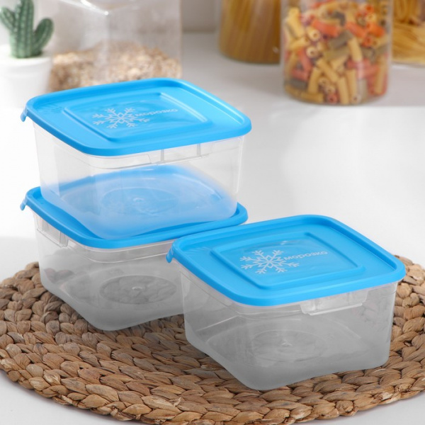 Набор квадратных контейнеров для замораживания продуктов «Морозко», 1 л, цвет МИКС/4367036