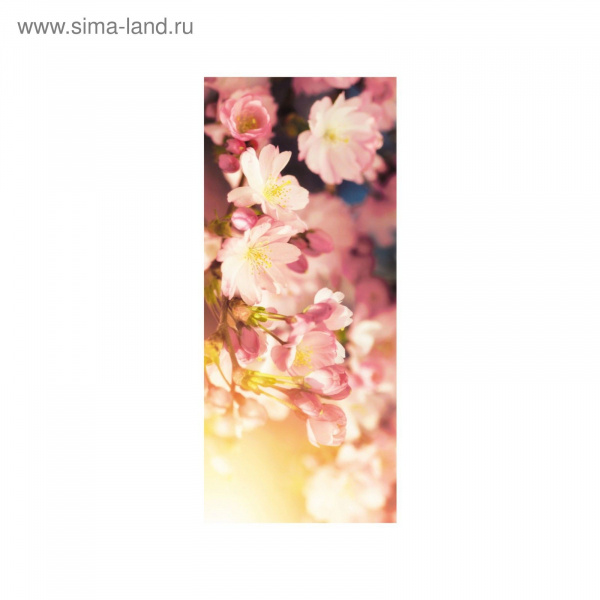 Фотообои DECOCODE Вишневые цветы 0,91х2,11 91-0455-FE