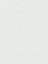 8781-00 (6) WallSecret Basic Обои горячего тиснения на флизелиновой основе 1,06*10,05