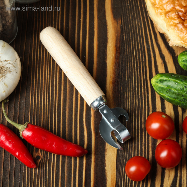 Нож консервный, с деревянной ручкой, 16 см /1928721