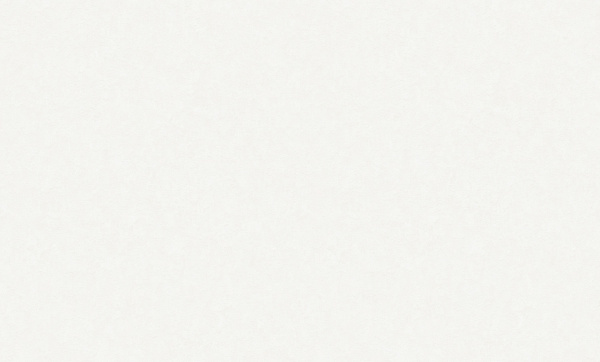 8963-10 (6) WallSecret Comfort Обои горячего тиснения на флизелиновой основе 1,06*10,05