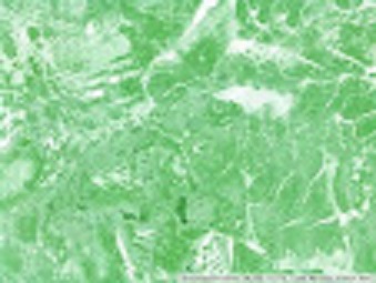 Пленка самоклеющаяся DELUXE (45х10) малахит зеленый 3896-2