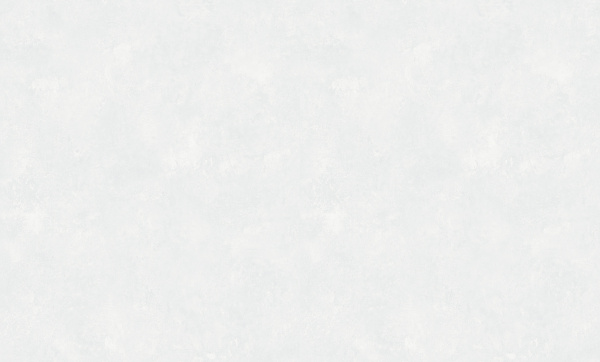 8954-10 (6) WallSecret Comfort Обои горячего тиснения на флизелиновой основе 1,06*10,05