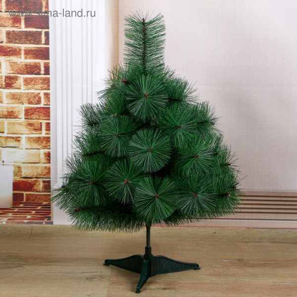 Кедр зеленый 60см 701335