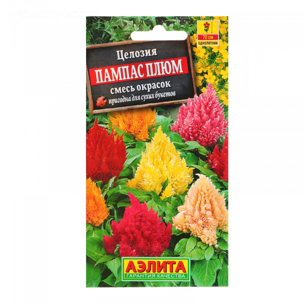 Семена цветов Целозия перистая "Пампас Плюм", смесь окрасок, О, 0,3 г /1314141