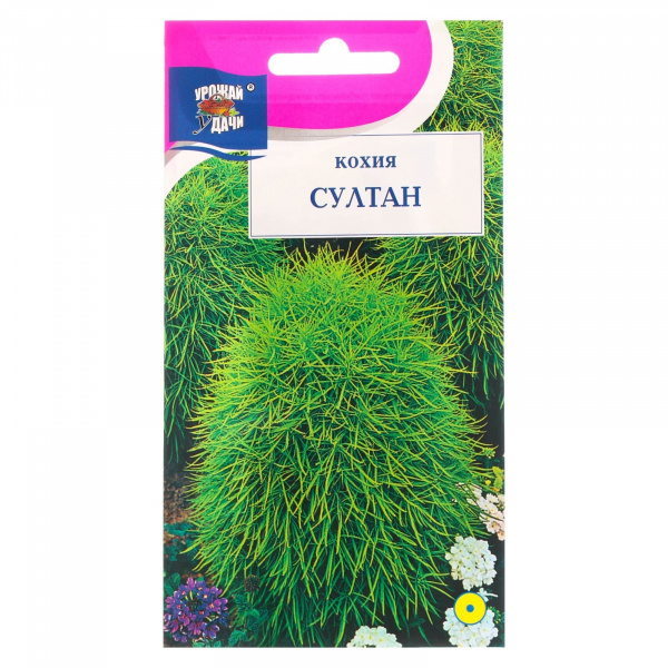 Семена цветов Кохия "Султан", 0,2 г /7643485