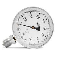 Манометр технический МТ-100 (1,6МПа) 419796