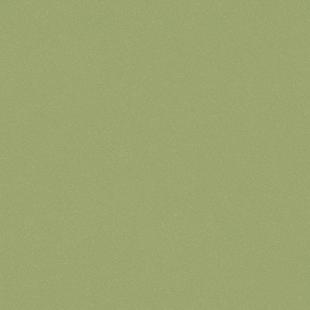 Линолеум коммерческий Acczent PRO АСПЕКТ 9 (3м) Зеленый