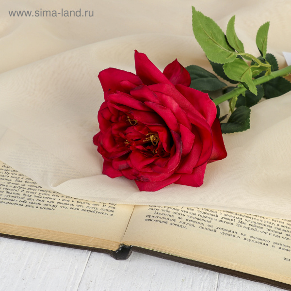 Цветы искусственные "Роза пиония" 10*60 см. красная /3933381