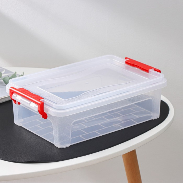 Контейнер для хранения с крышкой, 3,6 л, 31×20×9 см, цвет прозрачный/4421621