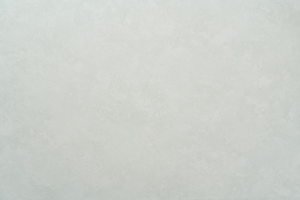 Обои Freedom Ялла фон 11092-04 НОВ