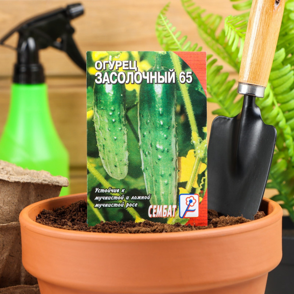 Семена Огурец "Засолочный", 0,5 г /4662705