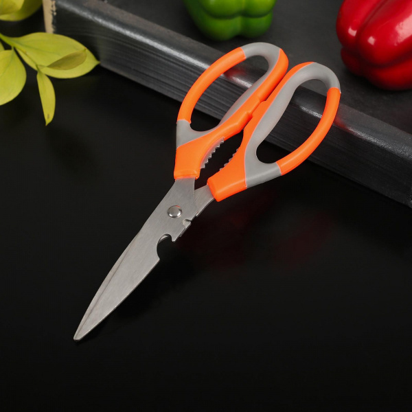 Ножницы кухонные «Драйв», 22 см, с открывалкой для бутылки, цвет МИКС /580369