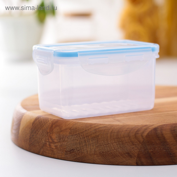 Контейнер пищевой 0,47л. с герметичной крышкой 2582681