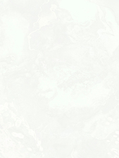 8810-20 (6) WallSecret Comfort Обои горячего тиснения на флизелиновой основе 1,06*10,05